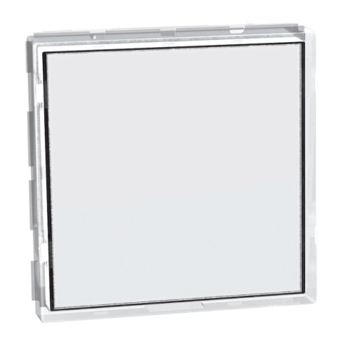 Interruttore con targa portanome illuminabile bianco matix go bticino